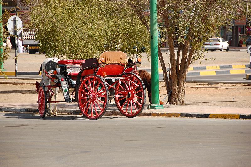 03-Unterwegs_Al_Ain_004.JPG - (C)Peter Graefling 2008