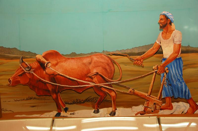 04-Al_Ain_Museum_025.JPG - (C)Peter Graefling 2008