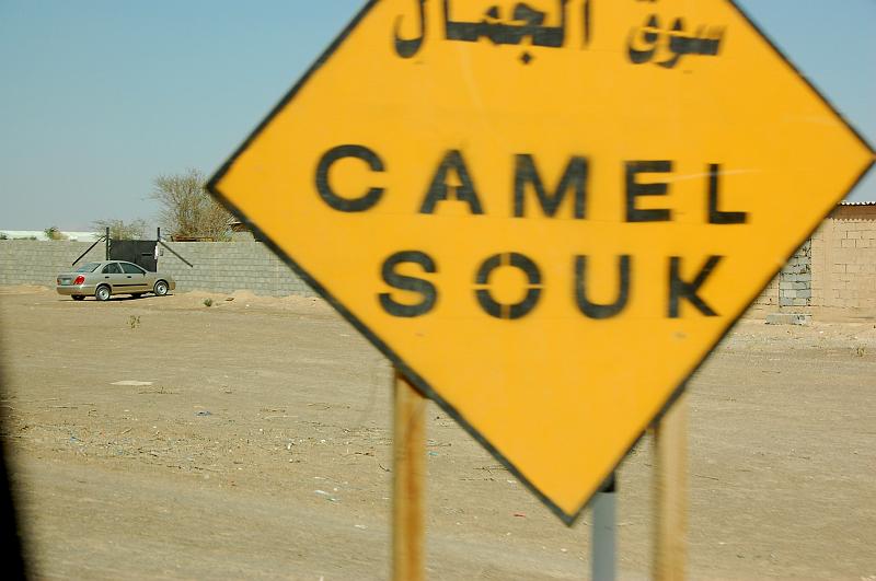 07-Kamelmarkt_001.JPG - (C)Peter Graefling 2008