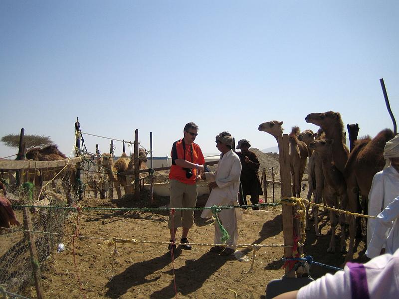 07-Kamelmarkt_010.JPG