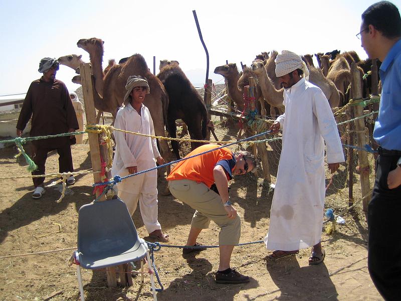 07-Kamelmarkt_011.JPG
