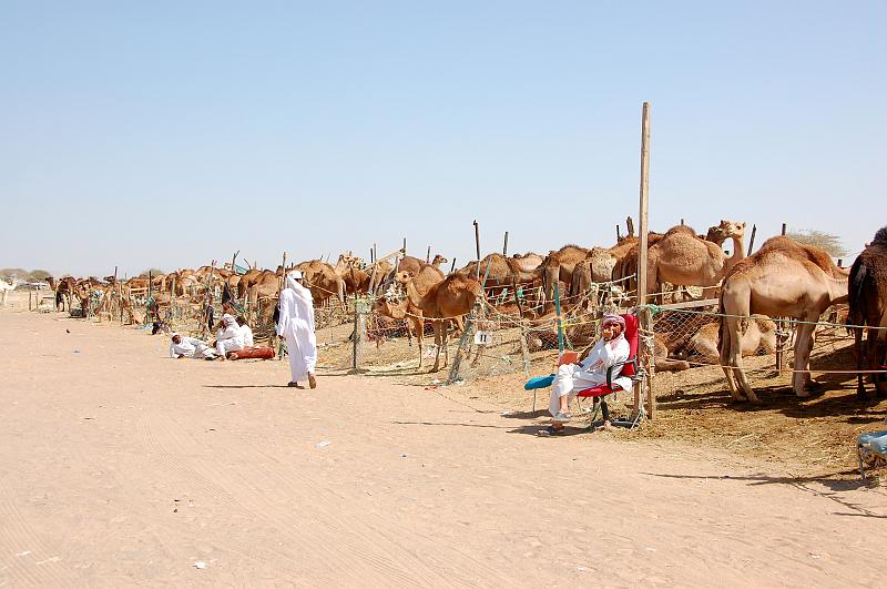 07-Kamelmarkt_012.JPG - (C)Peter Graefling 2008