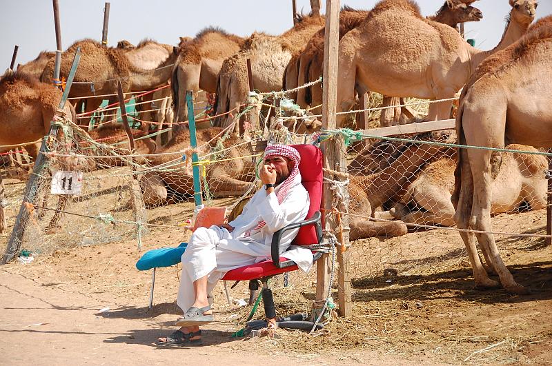 07-Kamelmarkt_013.JPG - (C)Peter Graefling 2008