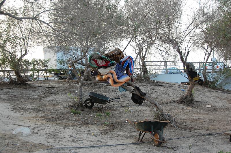 09-Unterwegs_in_Dubai_005.JPG - (C)Peter Graefling 2008