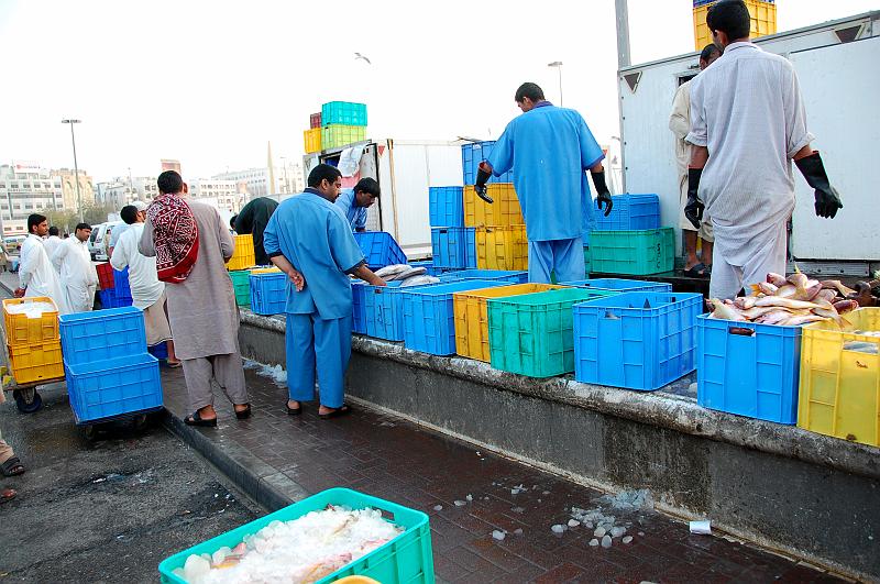 10-Fischmarkt_Dubai_002.JPG - (C)Peter Graefling 2008