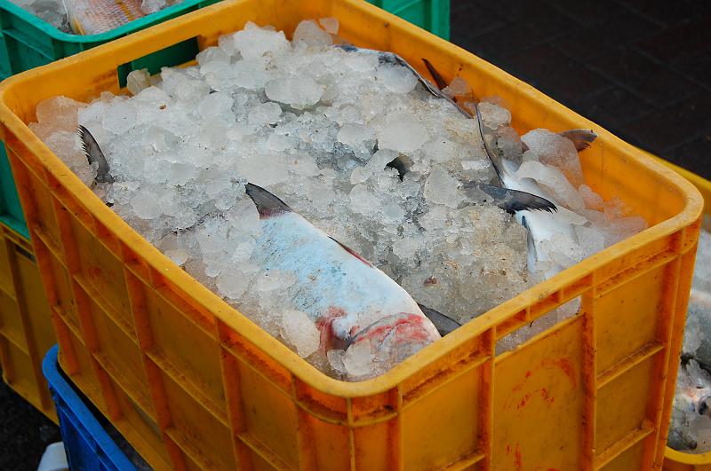 10-Fischmarkt_Dubai_003.JPG - (C)Peter Graefling 2008