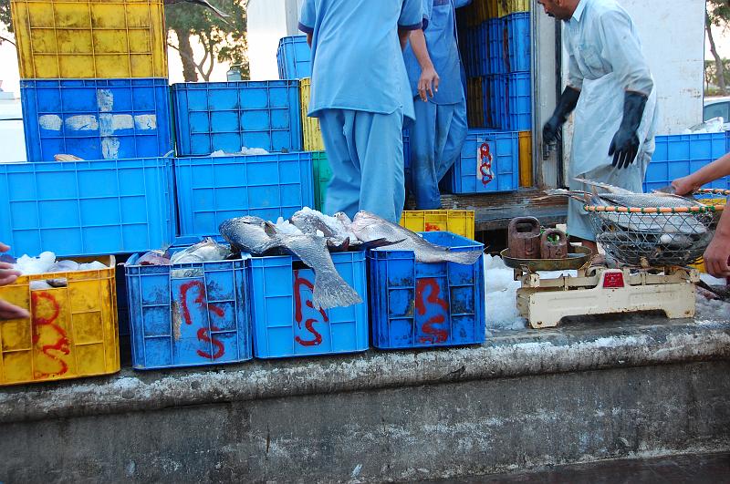 10-Fischmarkt_Dubai_006.JPG - (C)Peter Graefling 2008
