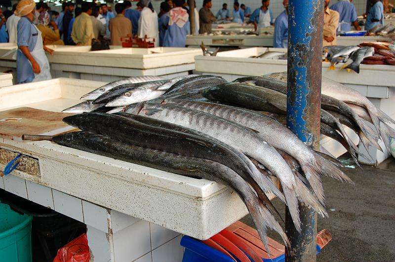 10-Fischmarkt_Dubai_007.JPG - (C)Peter Graefling 2008