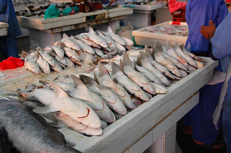 10-Fischmarkt_Dubai_009.JPG - (C)Peter Graefling 2008