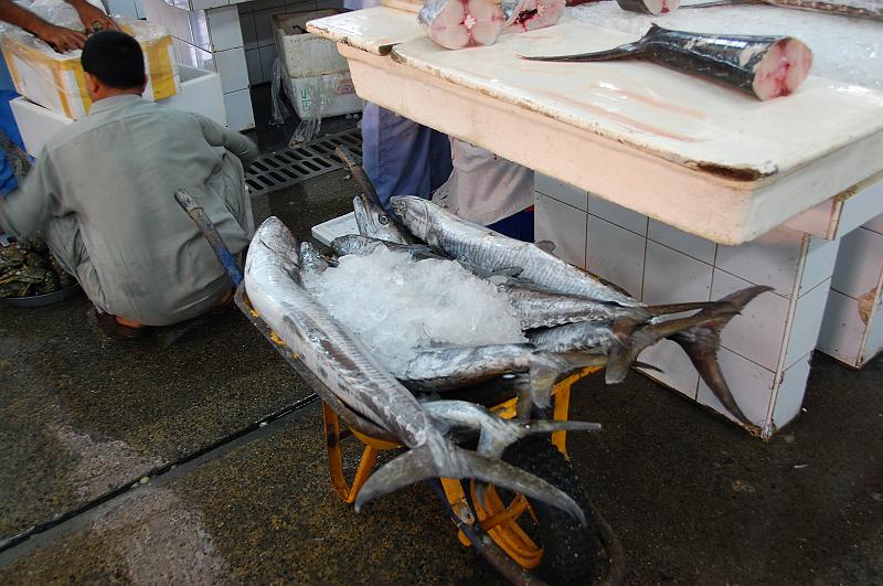 10-Fischmarkt_Dubai_010.JPG - (C)Peter Graefling 2008