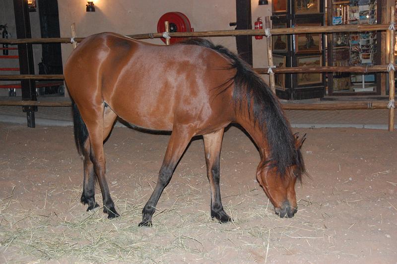 11-Heritage_Village_016.JPG - (C)Peter Graefling 2008