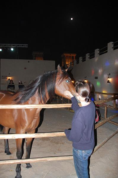 11-Heritage_Village_019.JPG - (C)Peter Graefling 2008