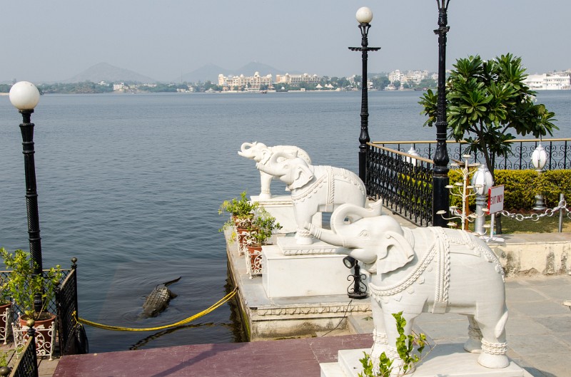 Indien_593.jpg - (C) Peter Graefling 2012